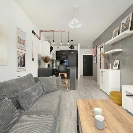 Elegancki We Wroclawiu Blisko Parku I Rzeki Z Klimatyzacja W Salonie I Biurkiem By Renters דירה *